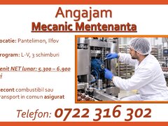 Mecanic mentenanta