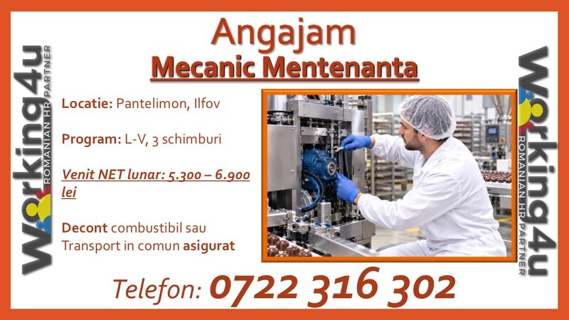 Mecanic mentenanta.